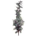 Floristik24 Zebra bylina umelá závesná rastlina Tradescantia 90 cm