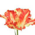 Floristik24 Umelý kvet papagáj tulipán umelý tulipán oranžový 69cm