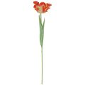 Floristik24 Umelý kvet papagáj tulipán umelý tulipán oranžový 69cm
