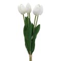 Floristik24 Biele tulipány Dekorácia Real Touch Umelé kvety jar 49cm 5ks