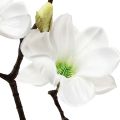 Floristik24 Umelý kvet magnólia konárik magnólia umelá biela 58cm