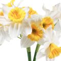 Floristik24 Umelé narcisy Biele hodvábne kvety Narcisy 40cm 3ks