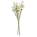 Floristik24 Vetvy čerešňových kvetov Umelé čerešňové kvety biele 75cm 3ks
