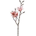 Floristik24 Magnolia vetvička magnólia umelá lososová 58cm