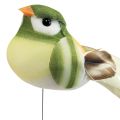Floristik24 Vtáčik z peria na drôte ozdobný vtáčik s pierkami zelená oranžová 4cm 12ks