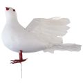 Floristik24 Svadobná dekorácia dekoračná holubica biela dekorácia svadobná holubica 17×23cm
