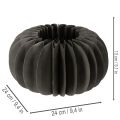 Papierové ozdobné krúžky s včelinou z tekvice 24 cm, 4 ks | Floristik24.sk