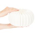 Papierový kruh s včelinou tekvicou, okrúhly, veľký na sušené kvety a jesennú dekoráciu 24 cm, 4 ks | Floristik24.sk