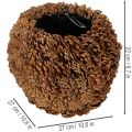 Dekoratívny kvetináč s borovicovými šiškami, prírodný vzhľad, 27 cm. Okrúhly kvetináč z borovicových šišiek, prírodná hnedá farba, vyrobený zo šišiek, 27 cm x 22 cm. | Floristik24.sk