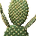Floristik24 Dekoratívna kaktusová umelá rastlina opuncie 64cm