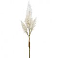 Floristik24 Pampas tráva biela krémová dekorácia umelá suchá tráva 82cm