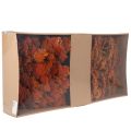 Sušené kvety Achillea Orange,