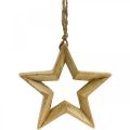 Floristik24 Adventná dekorácia hviezda z dreva Vianočná dekorácia hviezda V14,5cm
