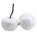 Floristik24 Deco jablká biele s trblietkami 5,5-6,5cm 12ks