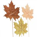Floristik24 Jesenný záhradný kolík javorový list drevo Š9,5cm D31cm 12ks