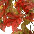 Floristik24 Deco vetvička javor jesenná dekorácia 100cm Umelá rastlina ako skutočná!