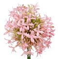 Floristik24 Allium umelá ružová 51cm