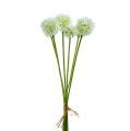 Floristik24 Allium 35cm Biela 6ks