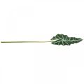 Floristik24 Umelý list šípu umelá rastlina alocasia deco zelená 74cm