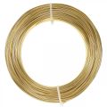 Floristik24 Hliníkový drôt zlatý Ø2mm deko drôt remeselný drôt okrúhly 500g 60m