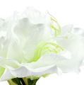 Floristik24 Amarylis kvet biely L 73cm 2ks