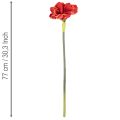Umelý kvet amarylis, červený, dlhá stonka, do vázy a aranžmánu, 77 cm | Floristik24.sk