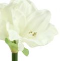 Floristik24 Amaryllis umelý 60cm biely