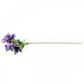 Floristik24 Umelá sasanka hodvábna kvetina umelá rastlina s kvetmi fialová L55cm