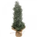Floristik24 Mini vianočný stromček umelo zasnežovaný vo vreci V41cm