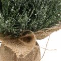 Floristik24 Mini vianočný stromček umelo zasnežovaný vo vreci V41cm