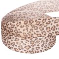 Darčeková stuha s leopardím vzorom, šírka 25 mm, dĺžka 18 m | Floristik24.sk