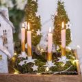 Floristik24 Svietnik na stromček, Vianoce, hviezda na paličku, ozdoba na sviečku z kovu biela shabby chic Ø5cm
