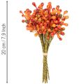 Zväzok oranžových bobúľ, dlhý 20 cm | Floristik24.sk