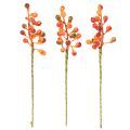 Zväzok oranžových bobúľ, dlhý 20 cm | Floristik24.sk