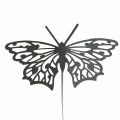 Floristik24 Kvetinová zátka kovový motýlik čierny 10,5×8/44cm 3ks