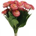 Floristik24 Umelý kvet, umelý bellis v zväzku, sedmokrásky bielo-ružové L32cm 10ks