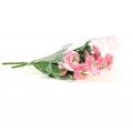 Floristik24 Bellis golier ružový 24cm 2ks
