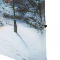 Floristik24 LED nástenná maľba zimná krajina s domčekom 38×28cm Na batériu