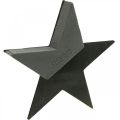 Floristik24 OASIS® Black Bioline® Floral Foam Star Black H30cm 2ks