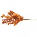 Floristik24 Umelé rastliny jesenná dekorácia umelá vetvička listy oranžové 46cm
