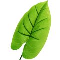 Floristik24 Deco Leaf Funkie, Hosta 40cm 5ks