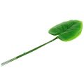 Floristik24 Deco Leaf Funkie, Hosta 40cm 5ks