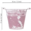 Plechové vedro, fialové a biele, Ø19 cm V17 cm, 1 ks. | Floristik24.sk