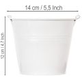 Biele plechové vedrá Ø14cm V12cm 6 ks | Floristik24.sk