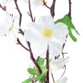 Floristik24 Kvetinová girlanda umelá kvetinová girlanda biele kvety 160cm