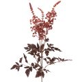 Floristik24 Umelý kvet Astilbe s dlhou stonkou nádhera 80 cm