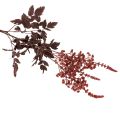 Umelý kvet Astilbe s dlhou