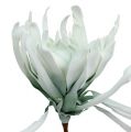 Floristik24 Kvetná vetva Pena biela, zelená 72cm