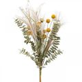 Floristik24 Umelé kvety Craspedia pierko tráva eukalyptus 55cm zväzok