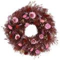 Floristik24 Kvetinový veniec, veniec zo sušených kvetov, vínovo červená, ružová, Ø25cm